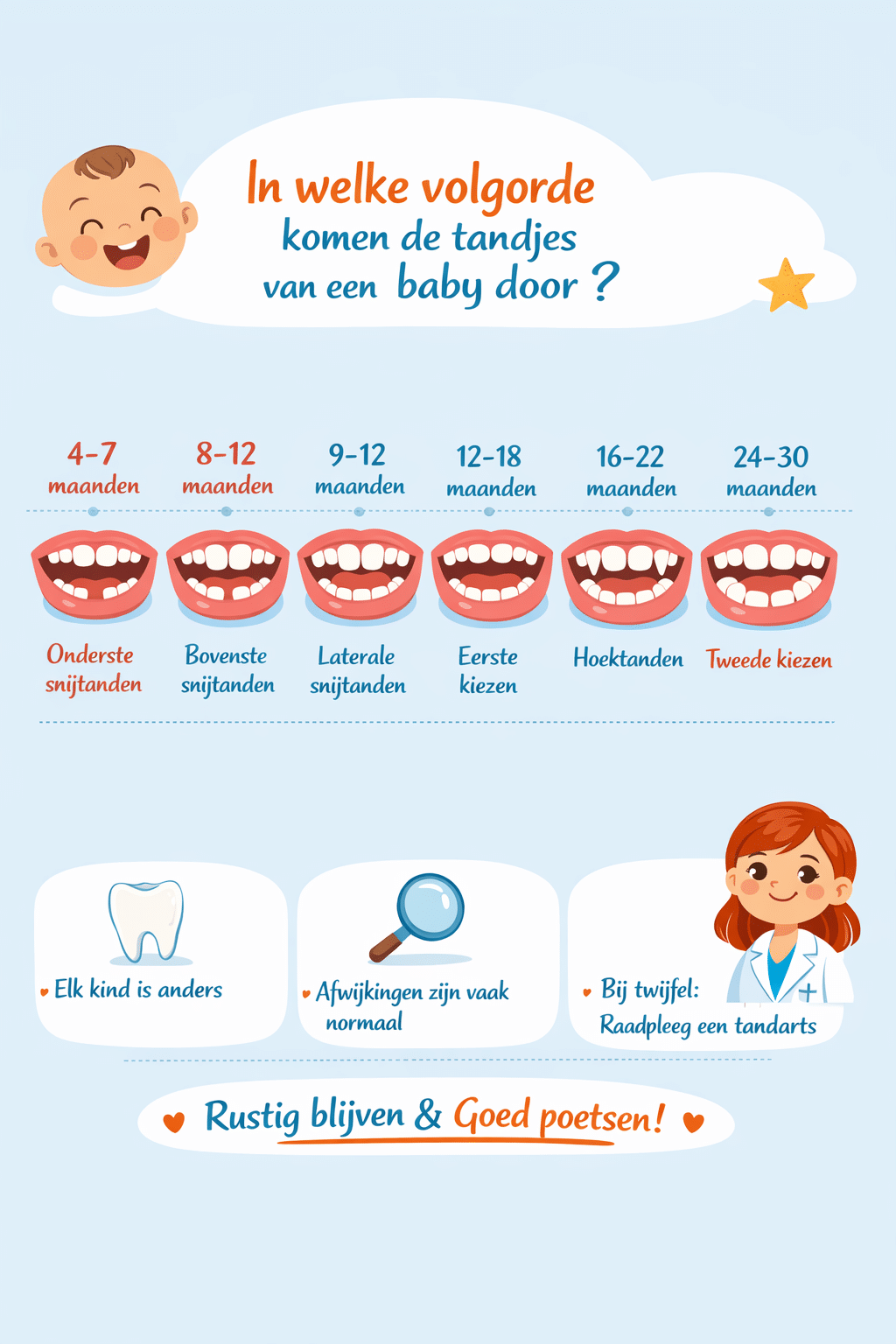 Schema met de volgorde waarin melktanden bij baby's doorkomen, met leeftijd in maanden